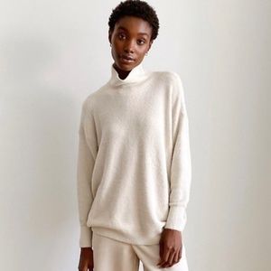 Aritzia Wilfred Stargazer Turtleneck Sweater
